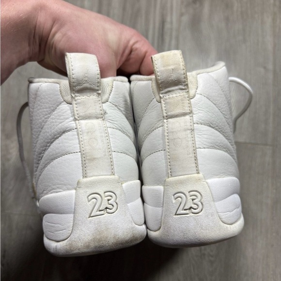 Air Jordan 12 ovo